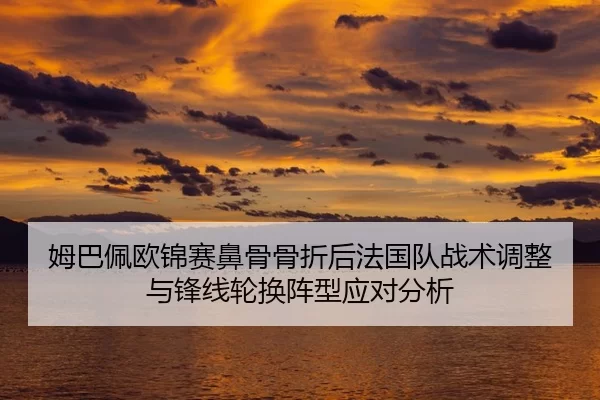 mu-ba-pei-ou-jin-sai-bi-gu-gu-zhe-hou-fa-guo-dui-zhan-shu-tiao-zheng-yu-feng-xian-lun-huan-zhen-xing-ying-dui-fen-xi-2-425.jpg