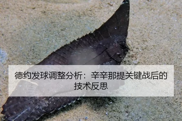 de-yue-fa-qiu-tiao-zheng-fen-xi-xin-xin-na-ti-guan-jian-zhan-hou-de-ji-shu-fan-si-3-571.jpg
