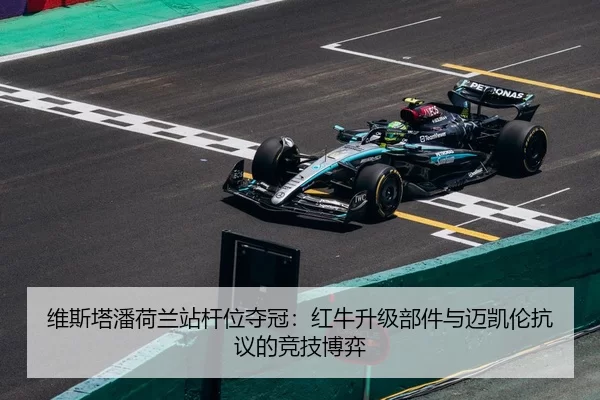 wei-si-ta-pan-he-lan-zhan-gan-wei-duo-guan-hong-niu-sheng-ji-bu-jian-yu-mai-kai-lun-kang-yi-de-jing-ji-bo-yi-3-959.jpg